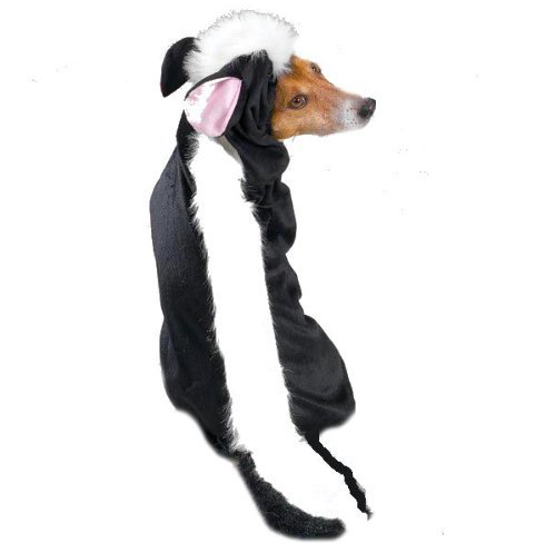 14 Pacific Northwest-Inspired Halloween Costumes for You and Your Pet